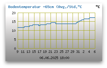 Bodentemperatur -65 cm unter Grund